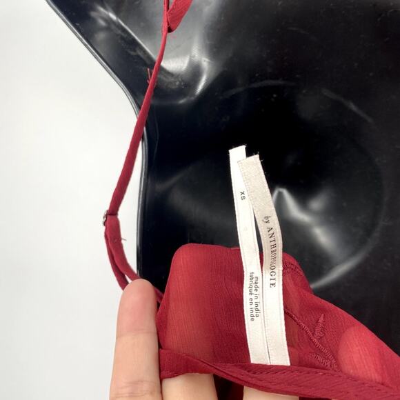 Anthropologie maroon sheer embroidered camisole - Picture 4 of 7